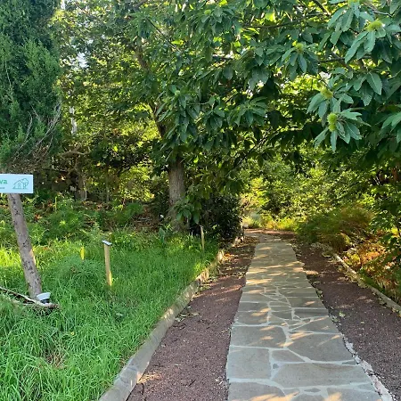 El Roque Landsted Tegueste