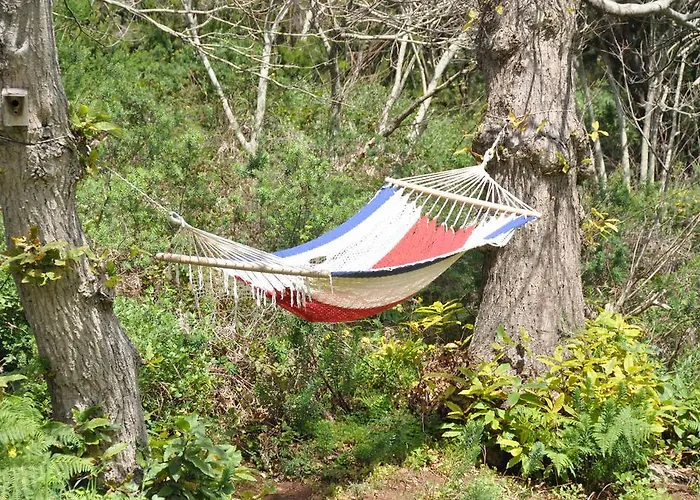 Casa rural El Roque Tegueste